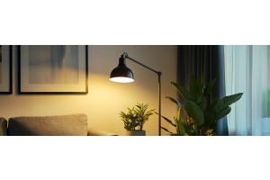 De perfecte dierenlamp voor jouw interieur kiezen