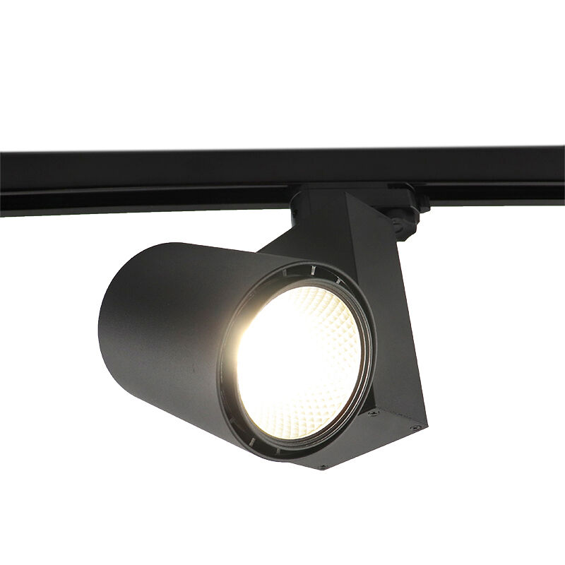 Zwarte Bisolux Master B Railspot, Philips driver, 2700k,30w,36graden