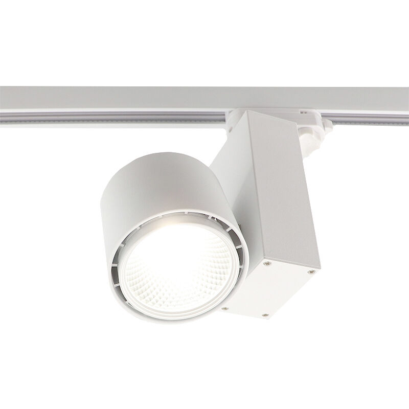 Witte Bisolux Master B Railspot, Philips driver, 4000k,30w,36graden