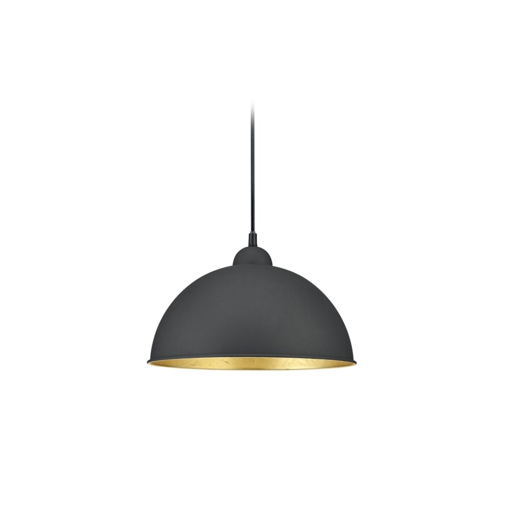 Zwarte met gouden 2 fase railverlichting hanglamp Ivar