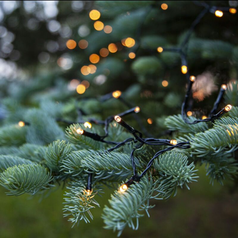 1,8m LED kerstverlichting op batterij, 24 lamps, Binnen en Buiten, met timer 1,8m LED kerstverlichting op batterij, 24 lamps, Binnen en Buiten, met timer