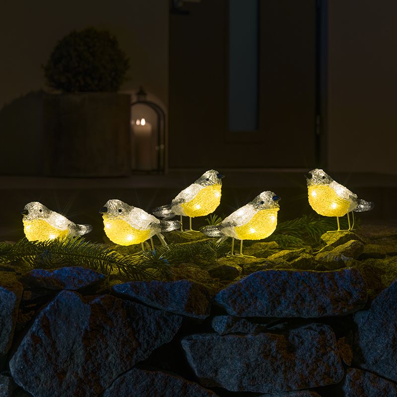 5 LED koolmezen, voor binnen en buiten 5 LED koolmezen, voor binnen en buiten