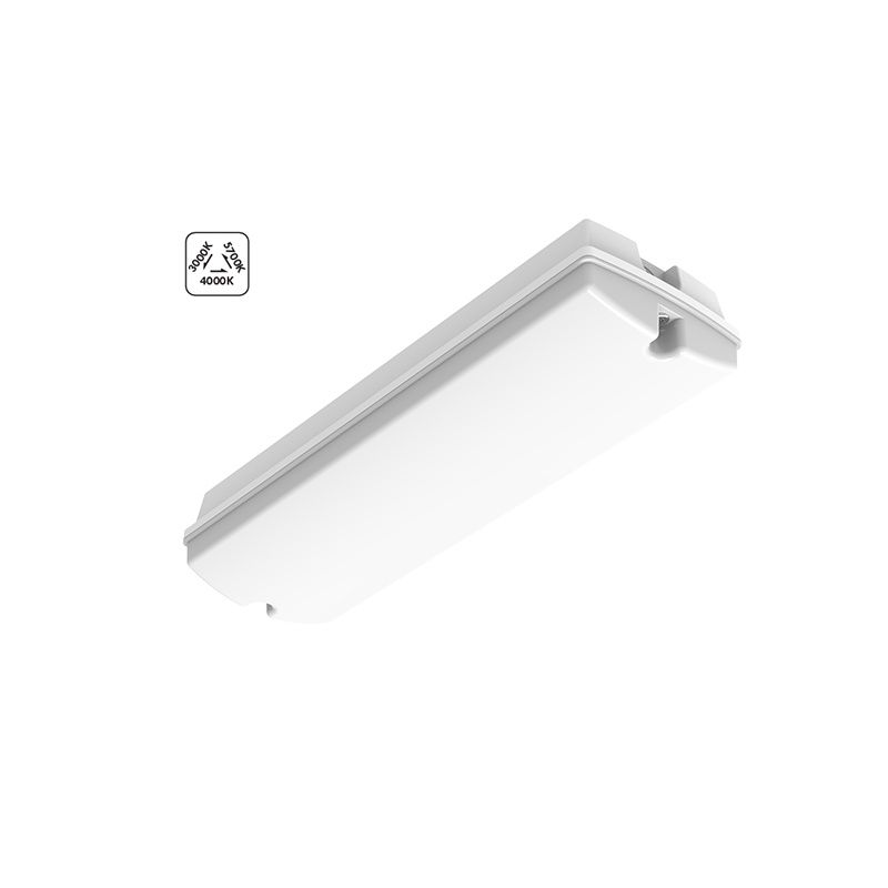 Witte galerijverlichting kunststof, Pedram, 4W, warm tot koud wit verstelbare LED, IP66