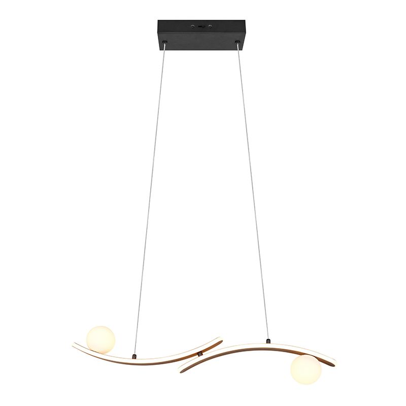 Zwarte hanglamp modern, Leonoor