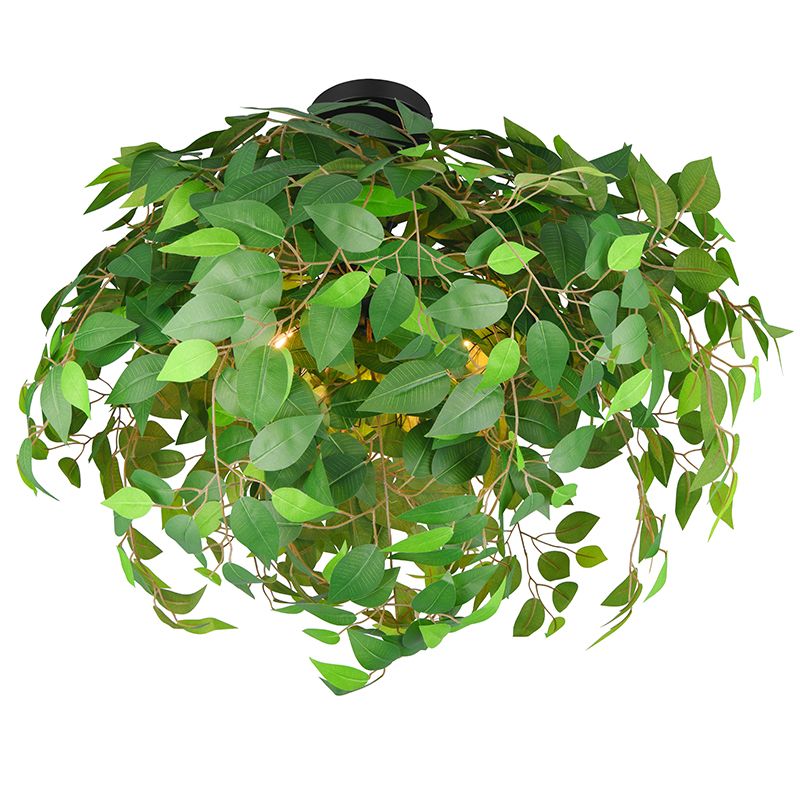 Groene plafonnière design, Urwa Groene plafonnière design, Urwa