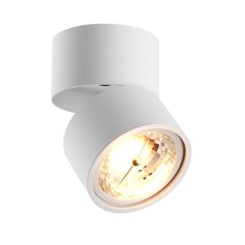 Witte plafondspot Reinout, metaal Witte plafondspot Reinout, metaal