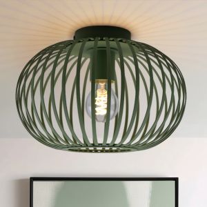 Industriële plafonnière groen, Lieve