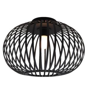 Industriële badkamer plafondlamp zwart, Lieve, IP44