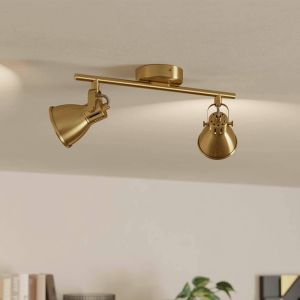 Gouden industriële plafondspot aluminium, Tinke