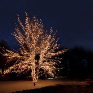 40m zwart koppelbare boomverlichting, 10 leds p/meter, IP67 - Warm wit