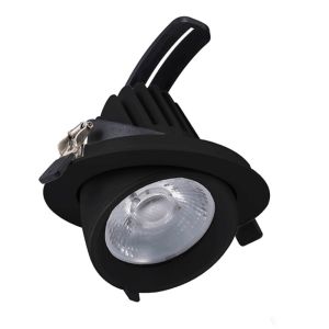 Zwarte downlight banaanspot, Shanaya, 30W, white switch LED