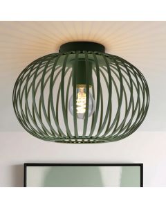 Industriële plafonnière groen, Lieve