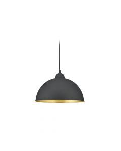 Zwarte met gouden 2 fase railverlichting hanglamp Ivar