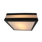 Antraciet Grijze buiten wand- & plafondlamp Tosca