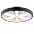 Kunststof plafondventilator zwart, Roos, 48W, RGBW LED, met afstandsbediening
