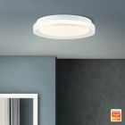 Moderne smart plafondlamp transparant, Rashmi, 24W, warm tot koud wit verstelbare LED