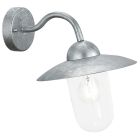 Zilveren landelijke buitenlamp glas, Dalisha, IP44