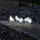 5 LED Vogeltjes, voor binnen en buiten