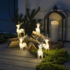 5 LED Hertjes, voor binnen en buiten