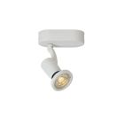 Witte spot Jaster, Metaal