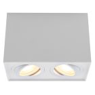 Rechthoekige, witte opbouwspot Dane, 2-spots, Richtbaar