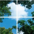Fotoprint wolk met bos - set van 4 acrylplaten met print, voor 60x60 cm LED panelen