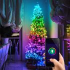App bestuurbare kerstverlichting, 9,9 meter met 100 LEDS