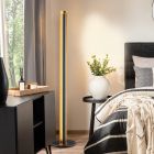 Zwarte vloerlamp modern, Baruch, 15W, 3000K LED, met schakelaar