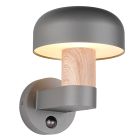 Grijze buiten wandlamp met bewegingssensor modern, Krishna, IP54