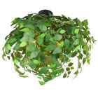 Groene plafonnière design, Urwa