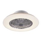 Grijze plafondventilator modern, Damyan, 30W, warm tot koud wit verstelbare LED, met afstandsbediening