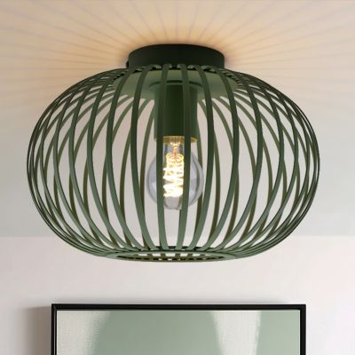 Industriële plafonnière groen, Lieve