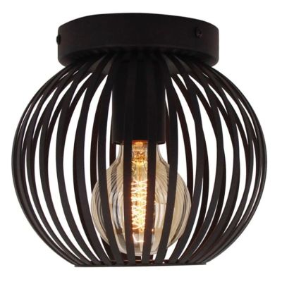Industriële plafondlamp zwart, Lieve