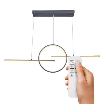 Design hanglamp Wieger, antraciet, metaal, warm tot koud wit verstelbare LED