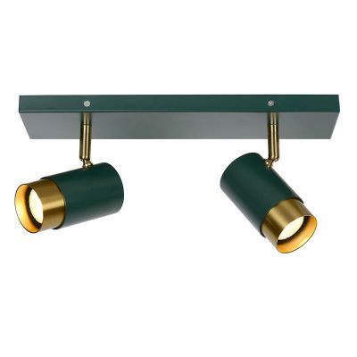 Groene moderne plafondspot, Floris, aluminium