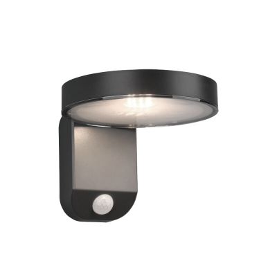 Moderne buitenlamp met bewegingssensor Sunny, antraciet, op zonne-energie