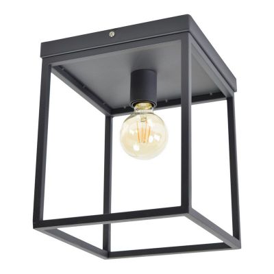Frame plafondlamp Redox, zwart