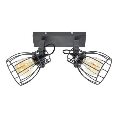 Stoere 2-spots plafondspot Lidia