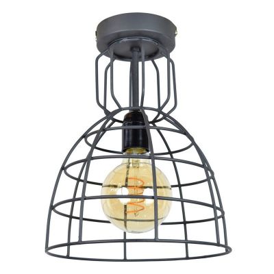 Industriële plafondlamp Dexter, grote versie
