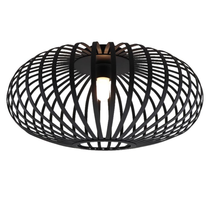 Industriële badkamer plafondlamp zwart, Lieve, IP44