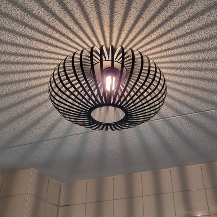 Industriële badkamer plafondlamp zwart, Lieve, IP44