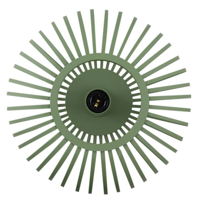 Industriële plafonnière groen, Lieve
