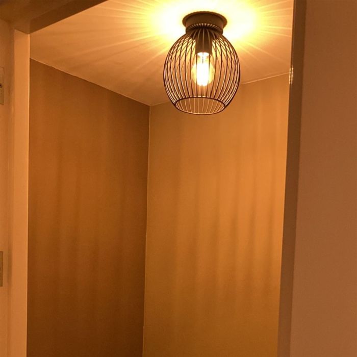 Industriële plafondlamp Wiro Bolvormig klein