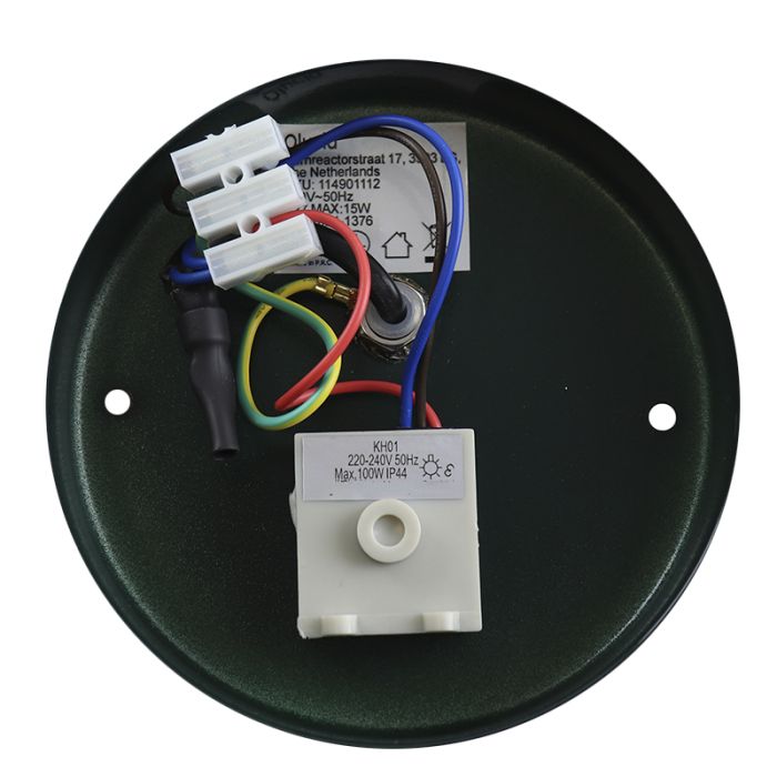 Rvs buiten wandlamp met schemersensor groen, Felice, IP44