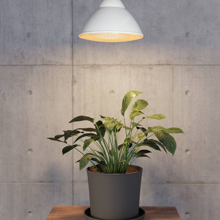 E27 LED PAR lamp voor planten, 16W, 1800K