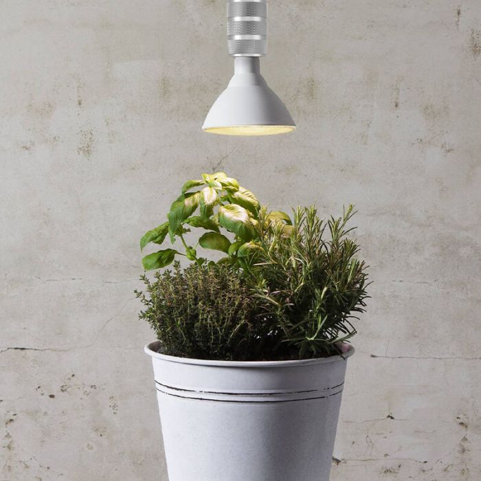 E27 LED PAR lamp voor planten, 16W, 1800K