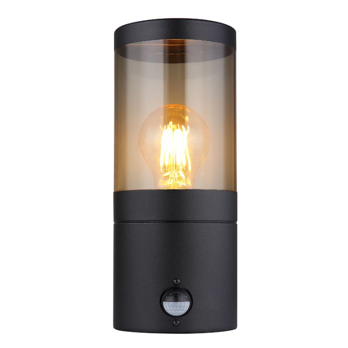 Zwarte moderne buitenlamp rvs, Lambert, IP44