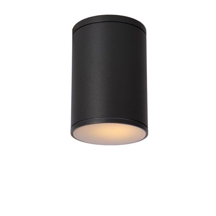 Ronde Tubix plafondlamp outdoor - Antraciet
