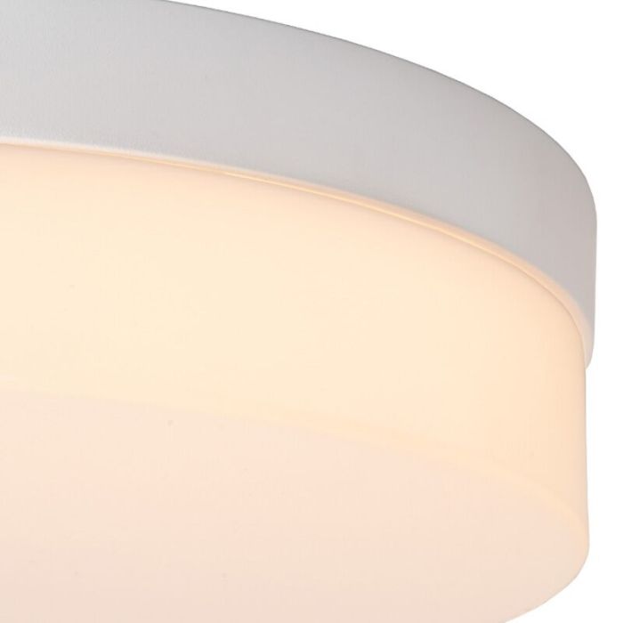 Witte badkamer plafondlamp kunststof, Biskit, 12W, 2700K LED, IP44