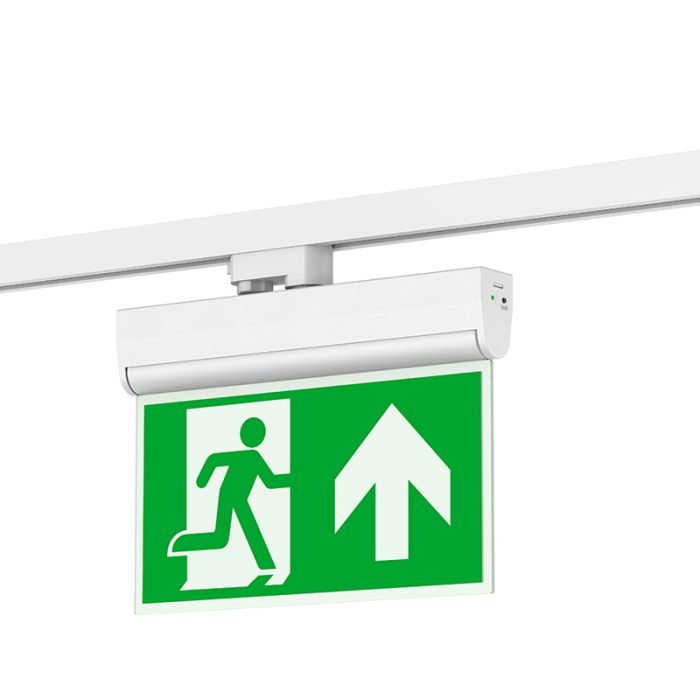 Witte 3-fase noodverlichting, Toke, Pro